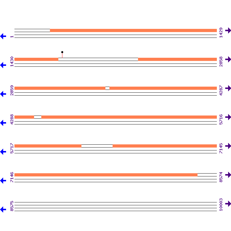 Genome View