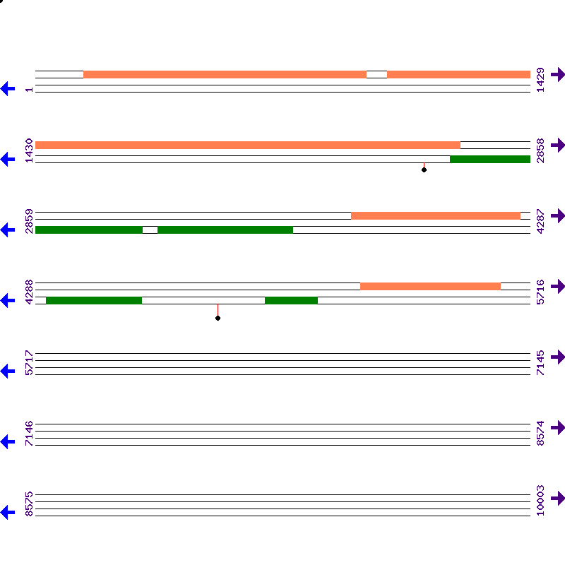 Genome View