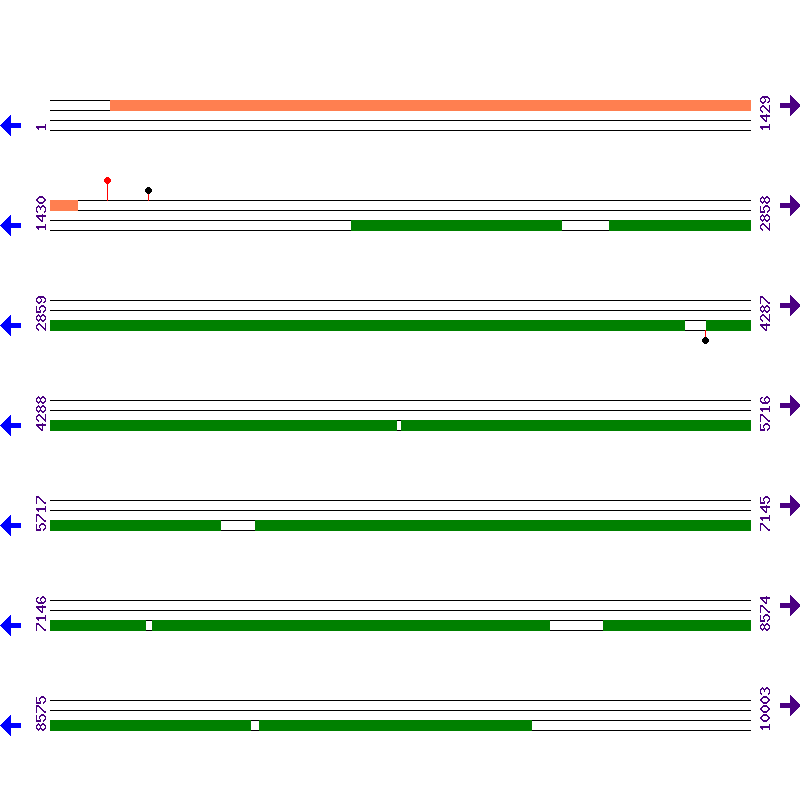 Genome View