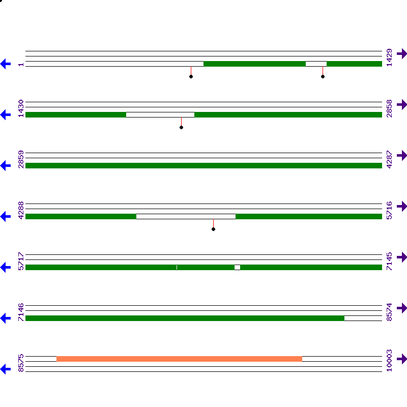 Genome View