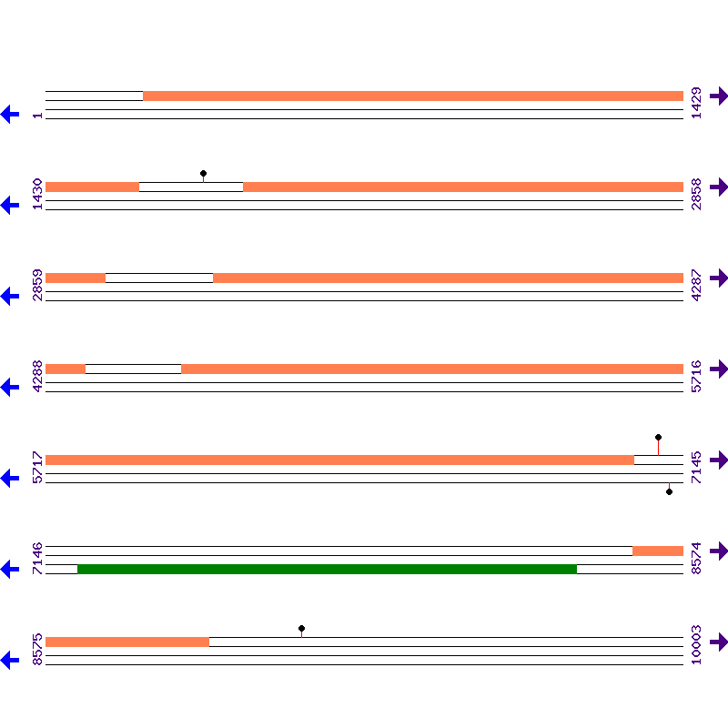 Genome View