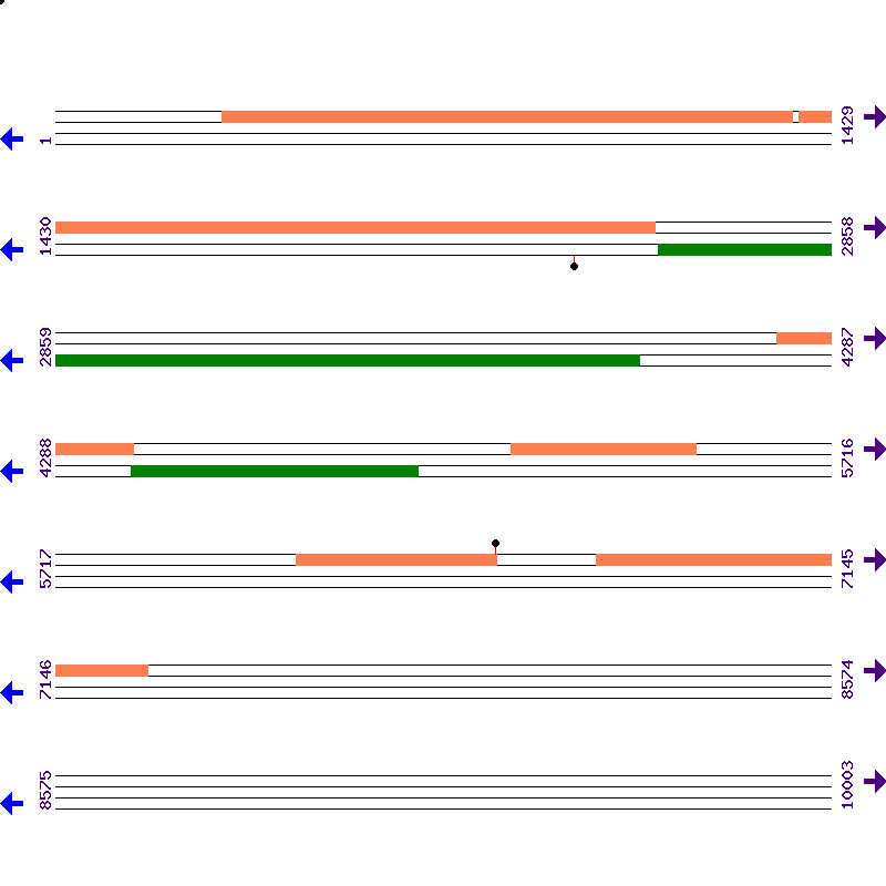 Genome View