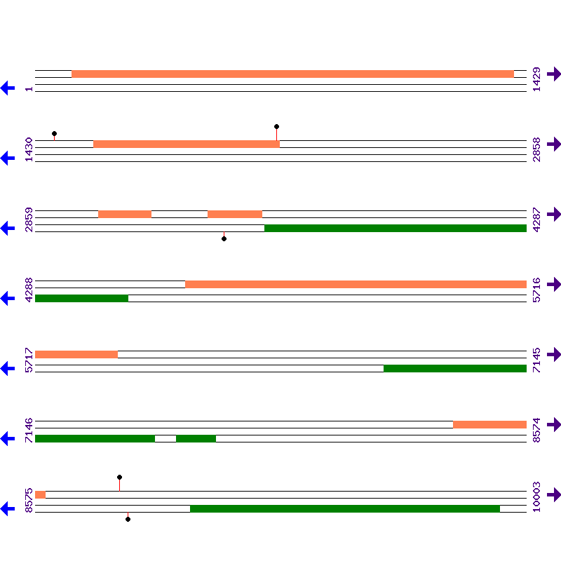 Genome View