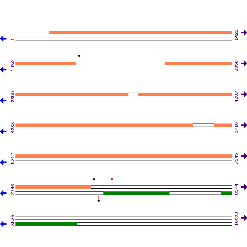 Genome View