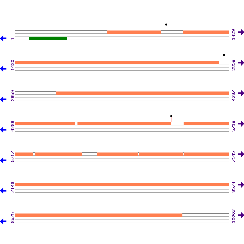 Genome View