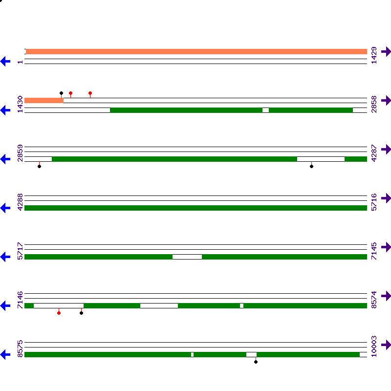 Genome View