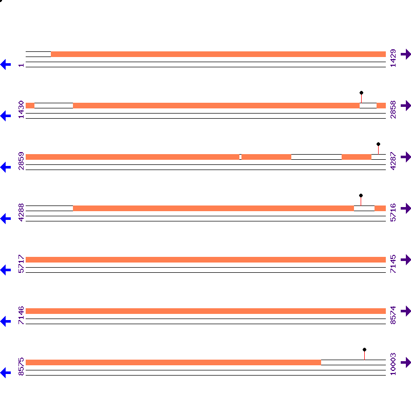 Genome View
