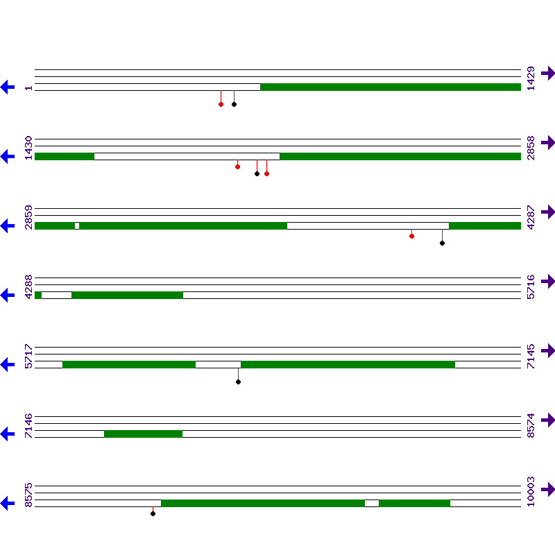 Genome View