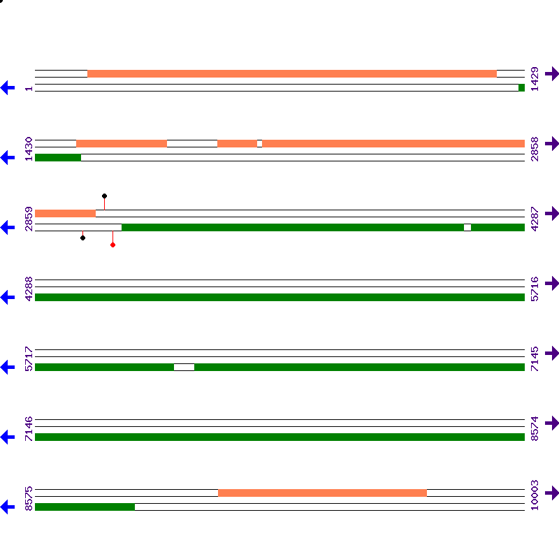 Genome View