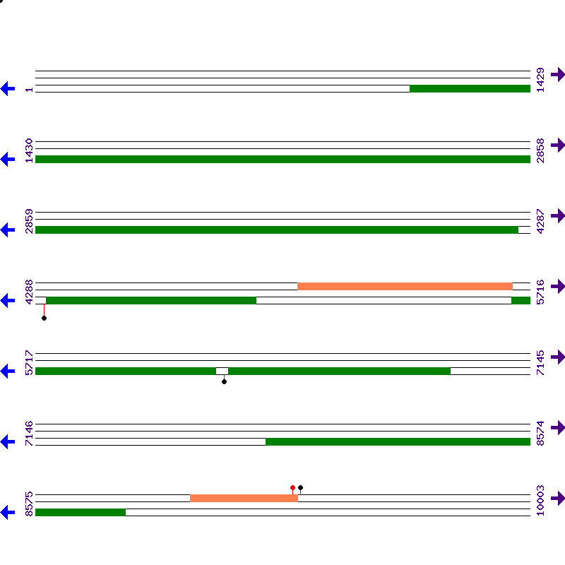 Genome View