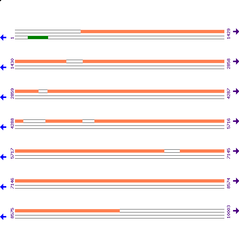 Genome View