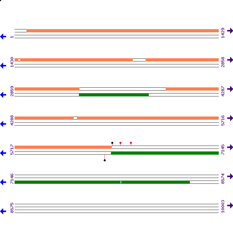 Genome View