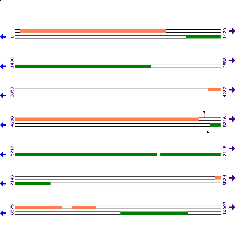 Genome View