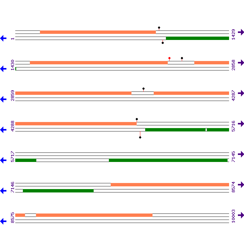 Genome View