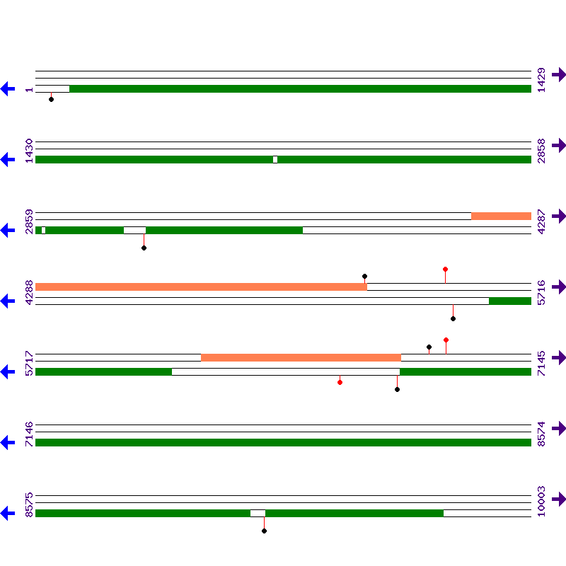 Genome View