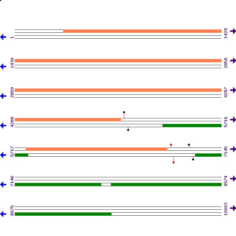 Genome View