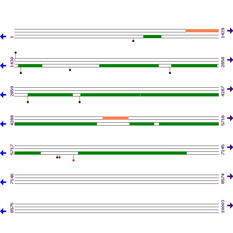 Genome View