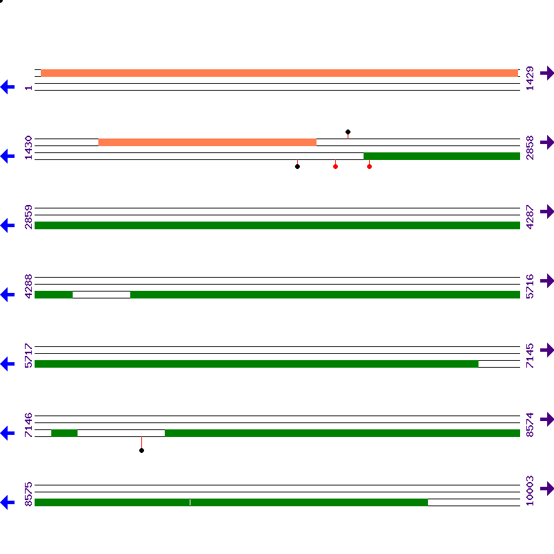 Genome View