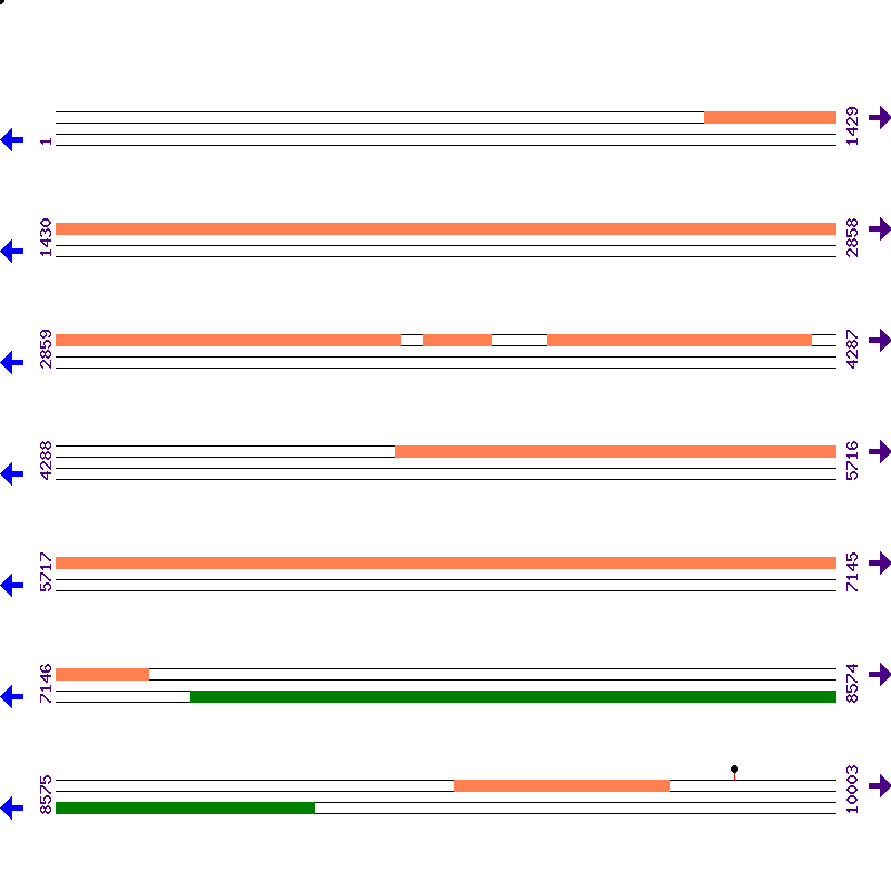 Genome View