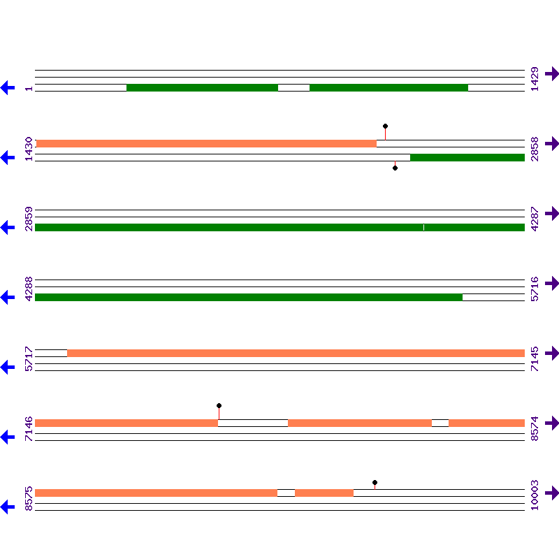 Genome View