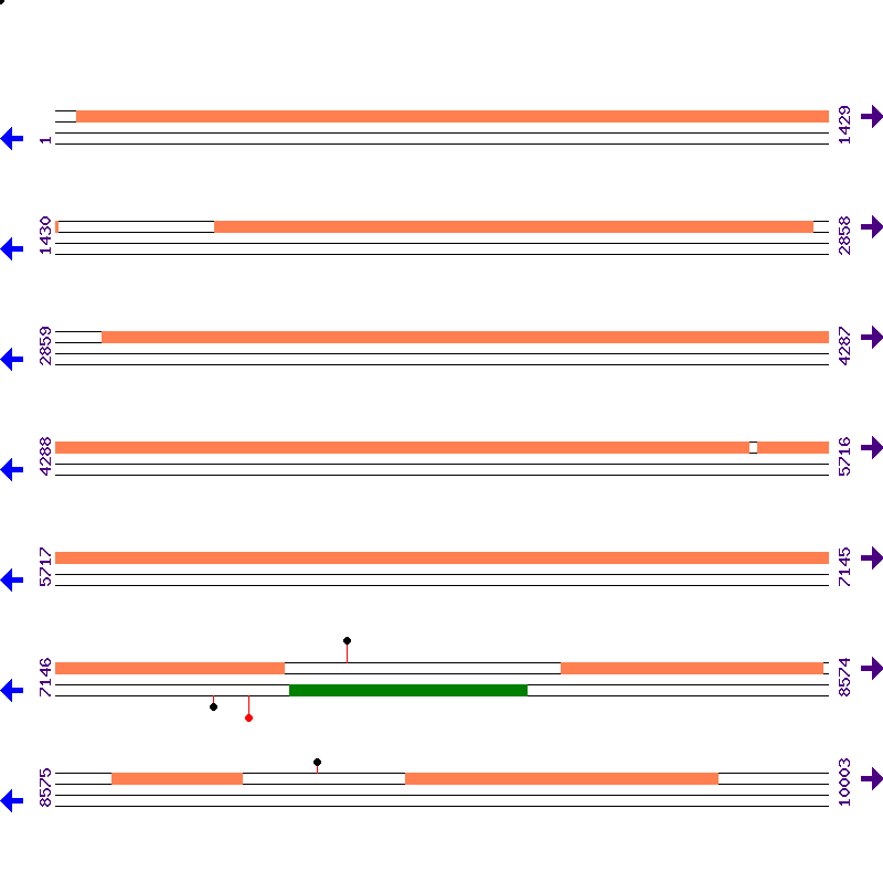 Genome View