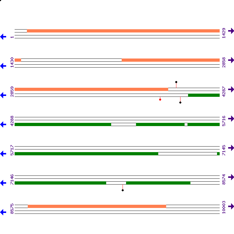 Genome View