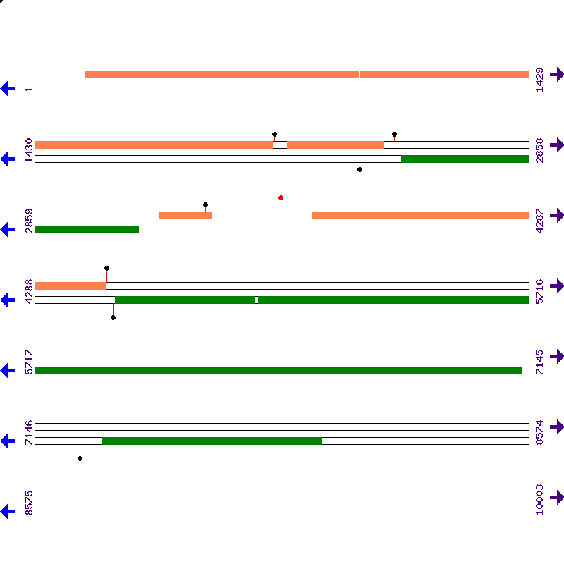 Genome View
