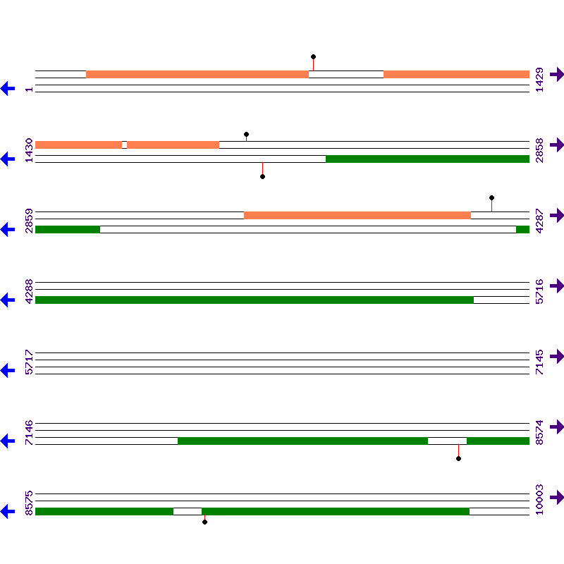 Genome View