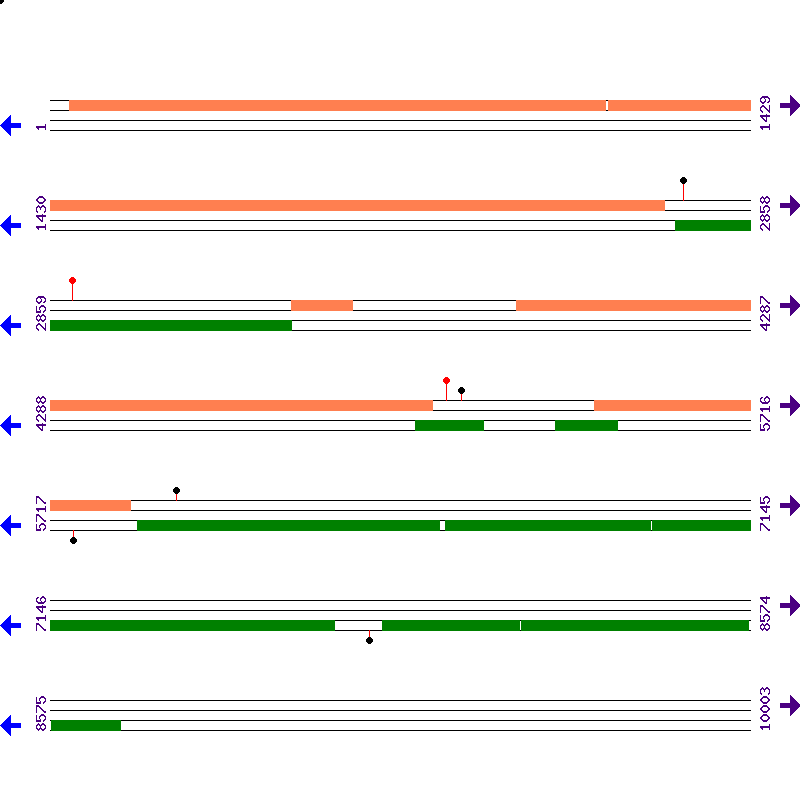 Genome View
