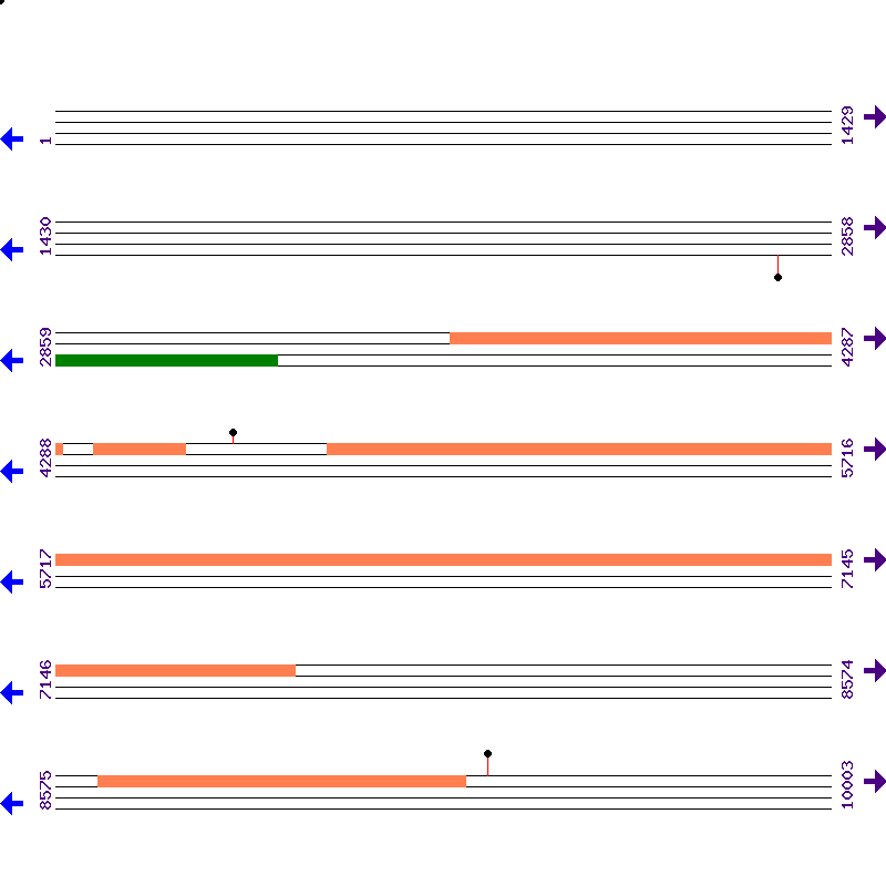 Genome View