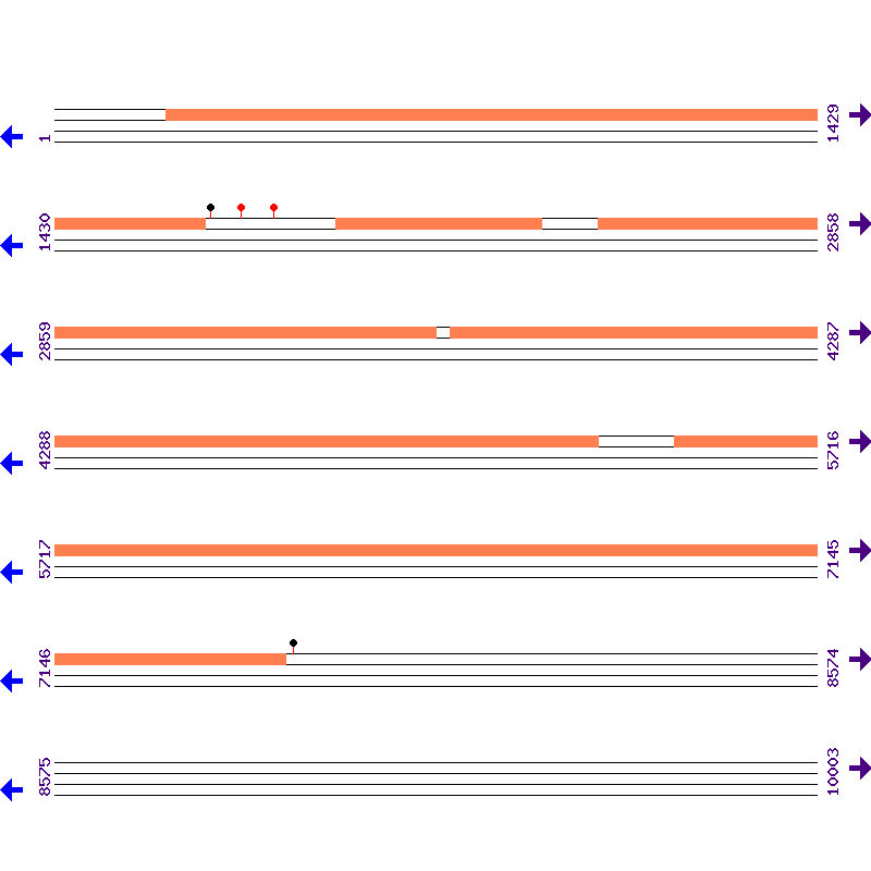 Genome View