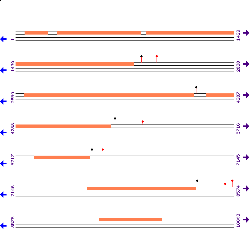 Genome View