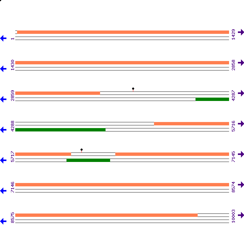 Genome View