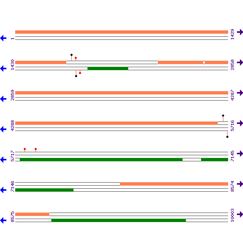 Genome View
