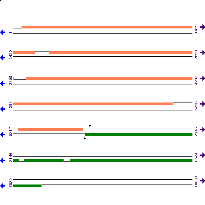 Genome View