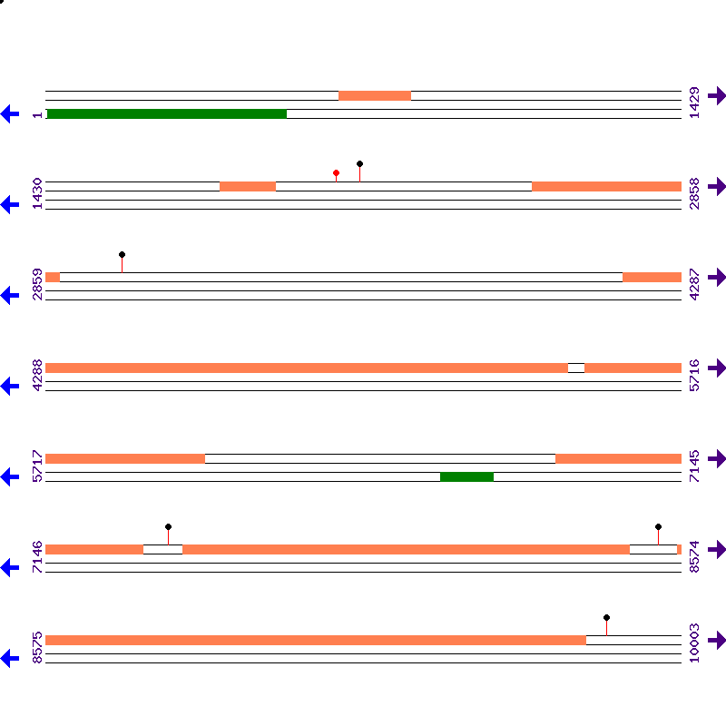 Genome View