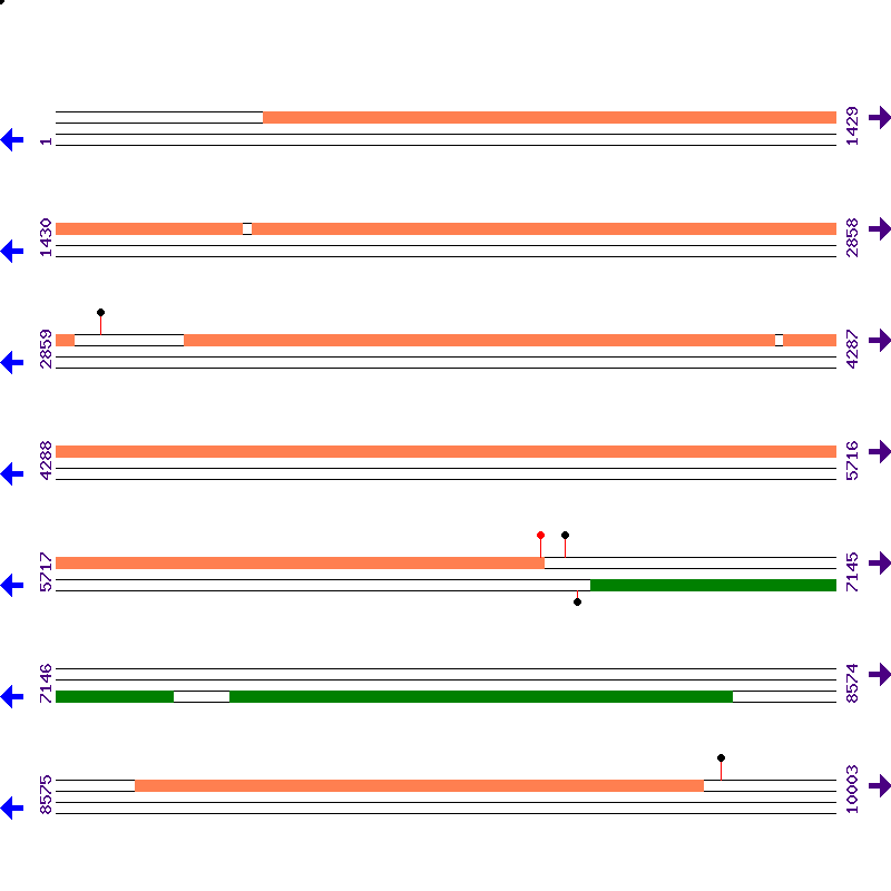 Genome View