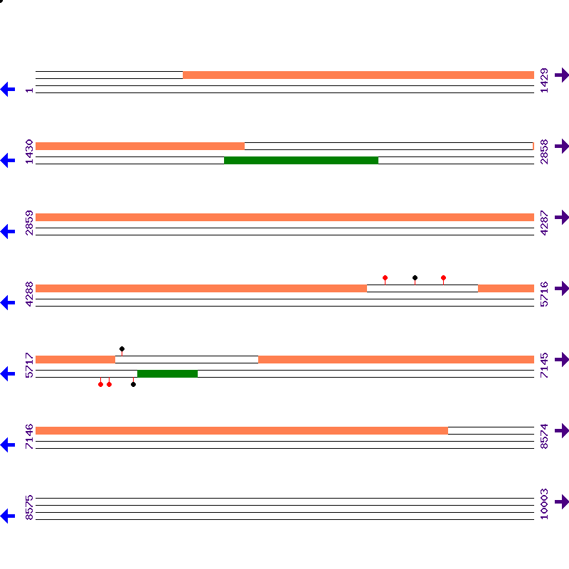Genome View