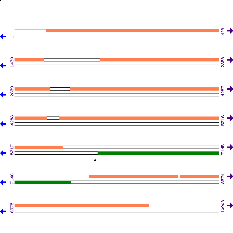 Genome View
