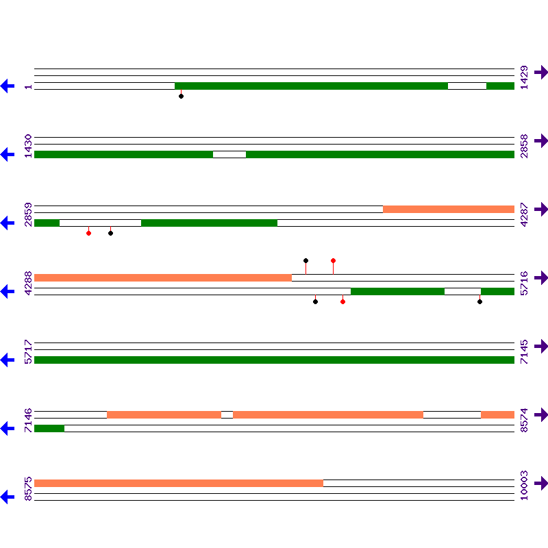 Genome View