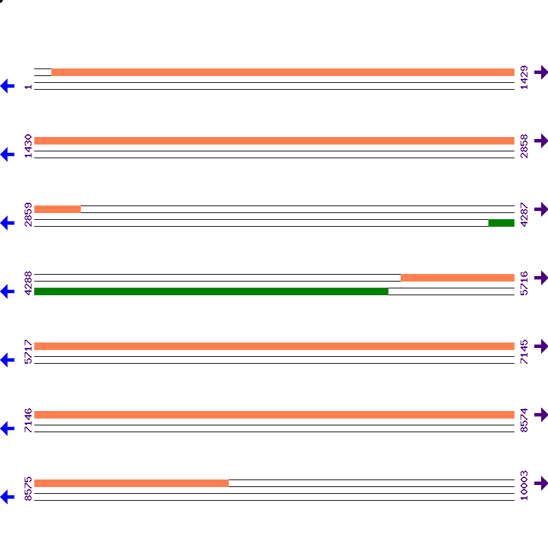 Genome View