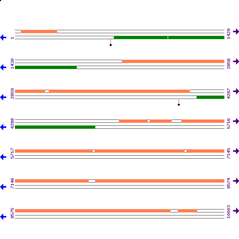 Genome View