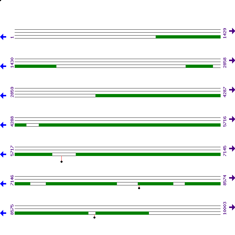 Genome View