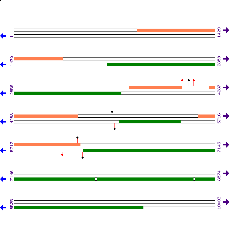 Genome View