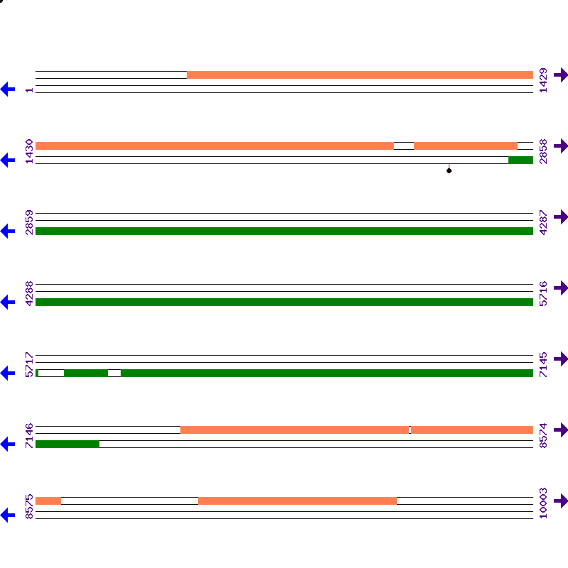 Genome View