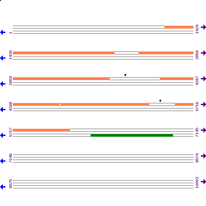 Genome View