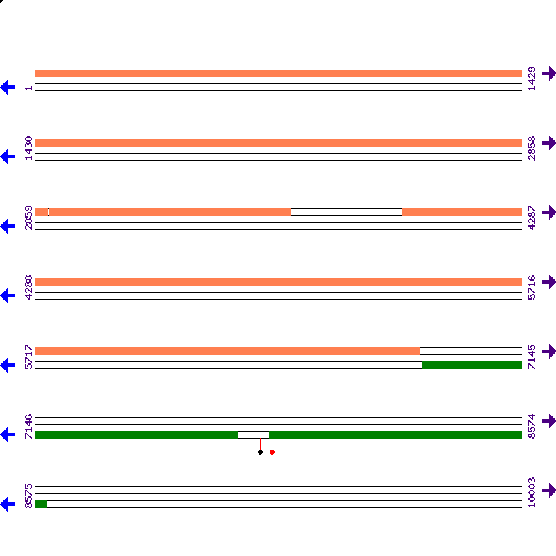 Genome View