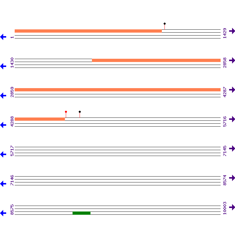 Genome View