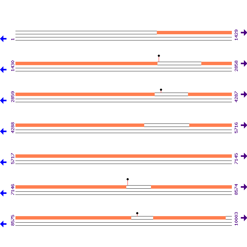 Genome View