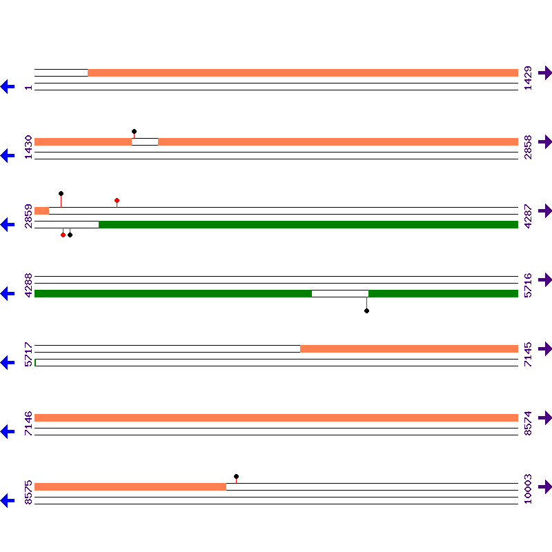 Genome View
